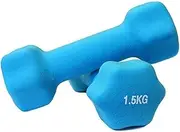 Neoprene Workout Dumbbell,Neoprene Arm Weights With Non-Slip Grip, Strength Training Equipment Workout Weights for At Home or Gym Training
