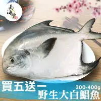 在飛比找PChome24h購物優惠-限量買5送1！南海豐【野生大白鯧魚】頂級海鮮食材 肉質細嫩 