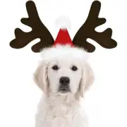 Christmas Reindeer Antlers Dog Hat