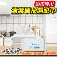 在飛比找momo購物網優惠-【ROYAL LIFE】廚房專用清潔單抽濕紙巾-5入組(一次