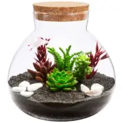 Creative Exquisite With Cork Lid Premium Multi-use Glass Bottle DIY