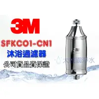 在飛比找蝦皮購物優惠-大桃園淨水~3M SFKC01-CN1 全效沐浴過濾器(另有