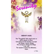 Thoughtful Little Angel Card Serenity 670 and Angel Pin with Austrian Crystals