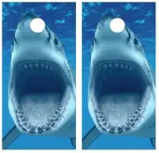 Great White Shark Mouth Cornhole Board Game Decal Wraps w/FREE LAMINATION #510