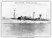 SS Maui (1916) Transport (ship)