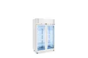 Williams Pearl - Two Door White Colorbond Upright Display Freezer - Display Freezers (LP2GW-WR) - LP2GW-WR