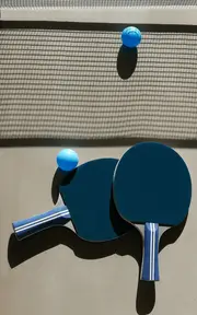 [Printworks] Portable Table Tennis Game Set