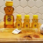 Bear Family Bundle – Big Bear, 3 Small Bears & 10 Straws of Pure Raw Honey