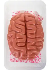 Novelty Tray of Brains Halloween Decoration