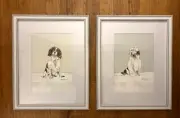 Gracie Tapner Sheep Dog & Springer Spaniel Framed Puppy Art Prints Set of 2 New