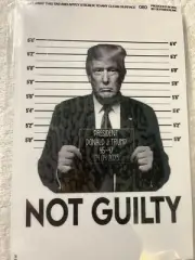 Not guilty Trump mug shot decal bumper sticker 7” x 4 1/2”