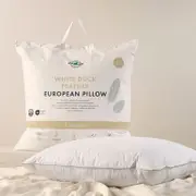 Duck Feather European Pillow [GRFBFEAEP21]