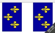 ILE DE FRANCE 3 metre BUNTING 10 FLAGS flag FRENCH