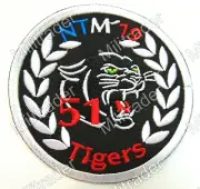 German Air Force TLG 51 NATO Tiger Meet NTM 2019 Patch (France) V2