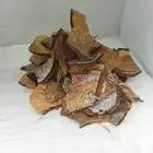 Coconut Shell Pieces BBQ Wood Stove Fireplace Winter Season Fire Starter Helper