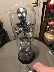 Mancave 18" Light Up Decoration BETTER KEEP AWAY FROM THE HOME BREW Skeleton