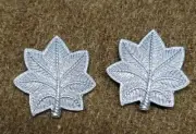WWI US Army/ USMC Officer Lieutenant. Colonel Insignia Pins, One Pair