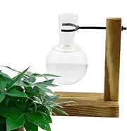 Plant Propagation Jars,Propagate Plant Holder Test Tube Hydroponic Rack with Wooden Stand - Flower Rack Vase Jars, Hydroponic Container for Home Offices Decors