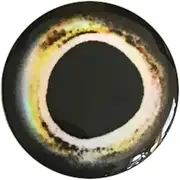 Brule 3-D Hard Epoxy Eyes (60 Pack) Handpoured, Fishing Fly Tying Streamers Lures Crafts