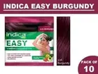 10 Pc Indica Easy 10 Minutes Burgundy Herbal Hair Color Shampoo Base Herbs