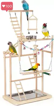 Parrot Playstand Parrot Perch Stand 4 Layers Bird Playground Large Bird