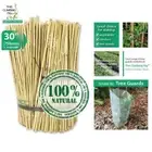 75cm (30") Bamboo Stakes NATURAL 8-10mm Thick. Garden plant trellis support