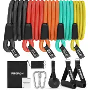 PROIRON Resistance Bands Set 14 Pieces Anti-Snap Resistance Band Exercise with Handles, Door Anchor, Ankle Straps, Training Manual and Carrying Bag