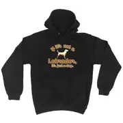 Animal If Its Not A Labrador Its Just A Dog - Funny Novelty Hoodies Hoodie