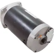 Centurion 56Y Square Flange 1-1/2 HP 3-Phase Pool and Spa Pump Motor