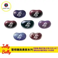 在飛比找樂天市場購物網優惠-嘗甜頭 Jelly Belly 美國雷根糖高貴紫 100公克