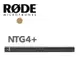 RODE NTG4+ 指向性麥克風 內建電池