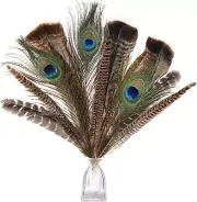 Large Natural Pheasant Feathers - 8-12Inch 4 Styles 24Pcs Assorted Craft Feather