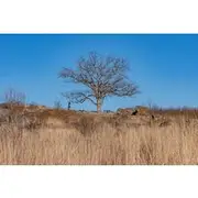 Save 19.88%! Gettysburg Private Tour Walks from Dobbin