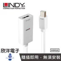 在飛比找蝦皮商城優惠-LINDY林帝 Mini DP to HDMI主動式MINI