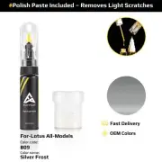 Touch Up Paint For Lotus All Models B09 Silver Frost With Polish Paste
