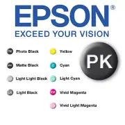 Epson T8501 Photo Black 80ml Ink for P800