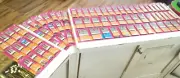 Sakura Pigma Micron & Brush Pens Various Sizes - 73 Sets Lot Brand New
