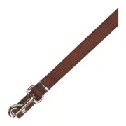 Zack and Zoey Basic 6-Feet x 1-In Nylon Dog Lead Chocolate brown