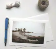 Grass Island Guilford, CT Blank Greeting Card w/ Envelope, Seller is Artist