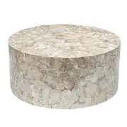 Snow Crest Mother of Pearl Coffee Table