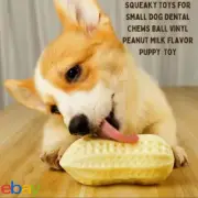 Squeaky Toys for Small Dog Dental Chews Ball Vinyl Peanut Milk Flavor Puppy Toy