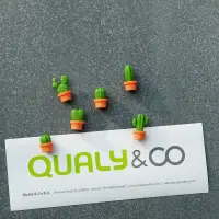 在飛比找蝦皮購物優惠-QUALY 仙人掌磁鐵(6入) 造型磁鐵 仙人掌 生活小物 