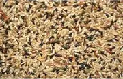 Willsbridge Breeders Canary & Vam Pellets 20kg