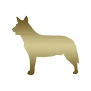 Australian Cattle Dog - Decal Sticker - Multiple Color & Sizes - ebn1913