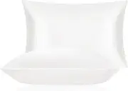 DISANGNI 100% Mulberry Silk Silk Pillowcase, Used for Hair and Skin, Envelope Type, Silk on one Side and Tencel on The Other Side (1pc Standard Size 20" x26" White)
