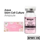 Stayve Booster Aqua Stem Cell Culture Ampoule Brightening Glow Whitening MTS 1
