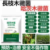 在飛比找松果購物優惠-哈茨木黴菌 微生物菌劑 長枝木黴菌 (9.6折)