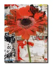 Ready2HangArt Painted Petals LXX Wrapped Canvas Wall Art
