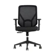Shappa A19 Medium Back Ergonomic Chair(Black)