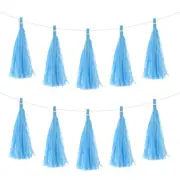 50Pcs Sky Blue Tassel Garland Banner with Rope